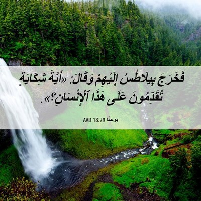 Picture 06 - يوحنَّا 18:29 AVD - فَخَرَجَ بِيلَاطُسُ - Bible Verse Picture