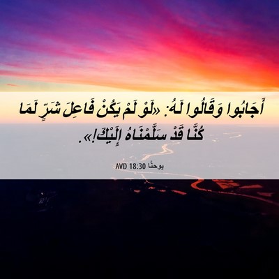 Picture 06 - يوحنَّا 18:30 AVD - أَجَابُوا وَقَالُوا لَهُ: - Bible Verse Picture