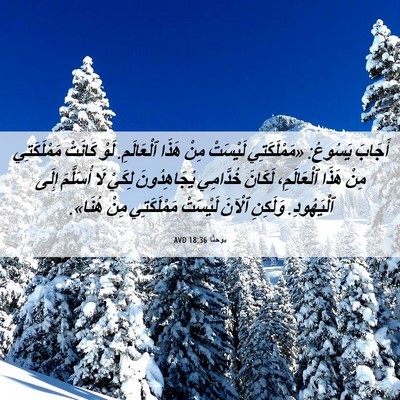 Picture 06 - يوحنَّا 18:36 AVD - أَجَابَ يَسُوعُ: - Bible Verse Picture
