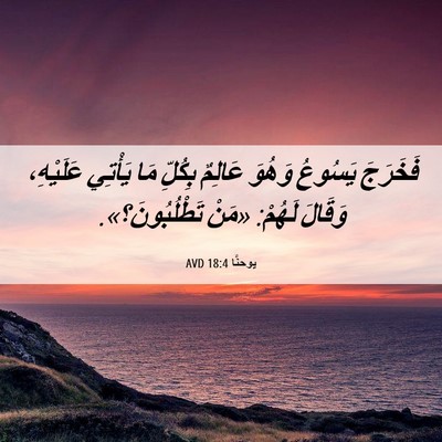 Picture 06 - يوحنَّا 18:4 AVD - فَخَرَجَ يَسُوعُ وَهُوَ - Bible Verse Picture