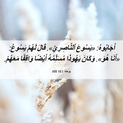 Picture 06 - يوحنَّا 18:5 AVD - أَجَابُوهُ: «يَسُوعَ - Bible Verse Picture