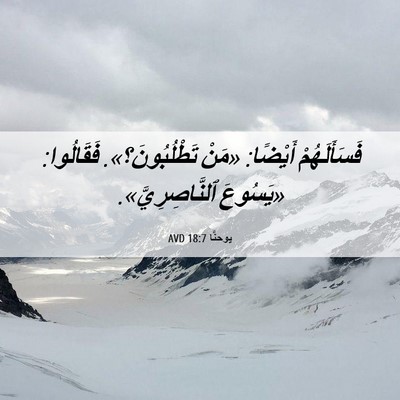 Picture 06 - يوحنَّا 18:7 AVD - فَسَأَلَهُمْ أَيْضًا: - Bible Verse Picture