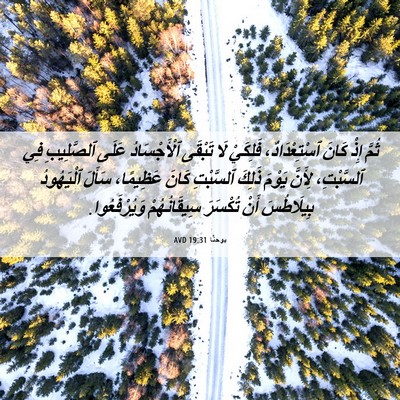 Picture 06 - يوحنَّا 19:31 AVD - ثُمَّ إِذْ كَانَ - Bible Verse Picture