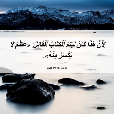 Picture 06 - يوحنَّا 19:36 AVD - لِأَنَّ هَذَا كَانَ - Bible Verse Picture