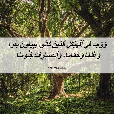 Picture 06 - يوحنَّا 2:14 AVD - وَوَجَدَ فِي ٱلْهَيْكَلِ - Bible Verse Picture