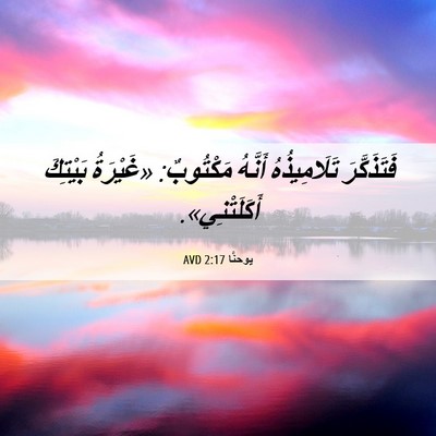 Picture 06 - يوحنَّا 2:17 AVD - فَتَذَكَّرَ تَلَامِيذُهُ - Bible Verse Picture