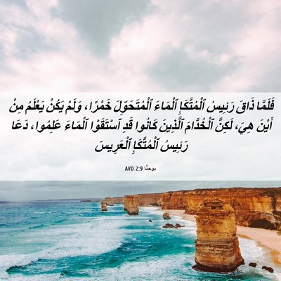 Picture 06 - يوحنَّا 2:9 AVD - فَلَمَّا ذَاقَ رَئِيسُ - Bible Verse Picture