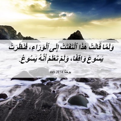 Picture 06 - يوحنَّا 20:14 AVD - وَلَمَّا قَالَتْ هَذَا - Bible Verse Picture
