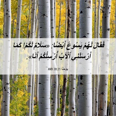 Picture 06 - يوحنَّا 20:21 AVD - فَقَالَ لَهُمْ يَسُوعُ - Bible Verse Picture