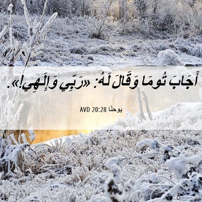Picture 06 - يوحنَّا 20:28 AVD - أَجَابَ تُومَا وَقَالَ - Bible Verse Picture