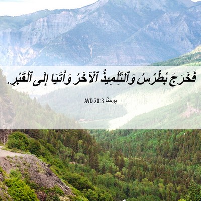 Picture 06 - يوحنَّا 20:3 AVD - فَخَرَجَ بُطْرُسُ - Bible Verse Picture