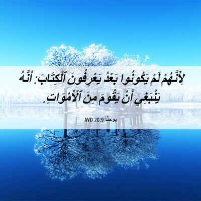 Picture 06 - يوحنَّا 20:9 AVD - لِأَنَّهُمْ لَمْ - Bible Verse Picture