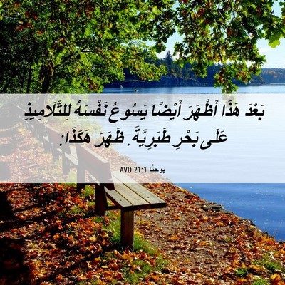 Picture 06 - يوحنَّا 21:1 AVD - بَعْدَ هَذَا أَظْهَرَ - Bible Verse Picture