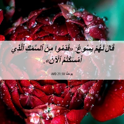 Picture 06 - يوحنَّا 21:10 AVD - قَالَ لَهُمْ يَسُوعُ: - Bible Verse Picture