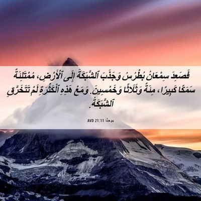 Picture 06 - يوحنَّا 21:11 AVD - فَصَعِدَ سِمْعَانُ - Bible Verse Picture