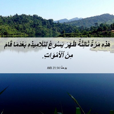 Picture 06 - يوحنَّا 21:14 AVD - هَذِهِ مَرَّةٌ ثَالِثَةٌ - Bible Verse Picture