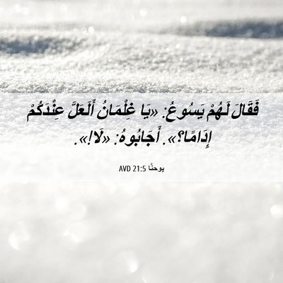 Picture 06 - يوحنَّا 21:5 AVD - فَقَالَ لَهُمْ يَسُوعُ: - Bible Verse Picture