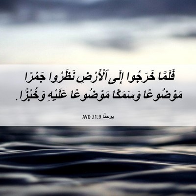 Picture 06 - يوحنَّا 21:9 AVD - فَلَمَّا خَرَجُوا إِلَى - Bible Verse Picture