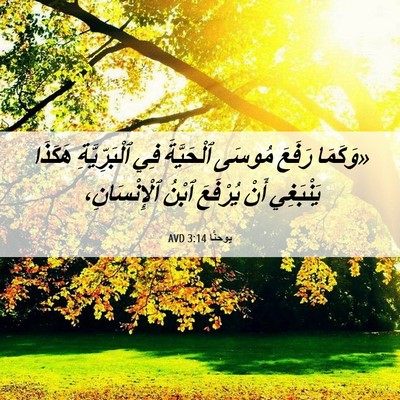 Picture 06 - يوحنَّا 3:14 AVD - «وَكَمَا رَفَعَ مُوسَى - Bible Verse Picture