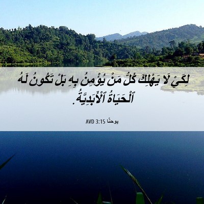 Picture 06 - يوحنَّا 3:15 AVD - لِكَيْ لَا يَهْلِكَ كُلُّ - Bible Verse Picture
