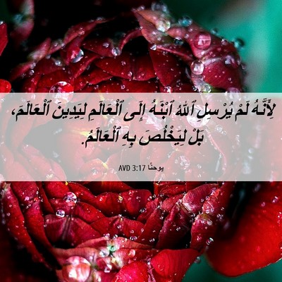Picture 06 - يوحنَّا 3:17 AVD - لِأَنَّهُ لَمْ يُرْسِلِ - Bible Verse Picture