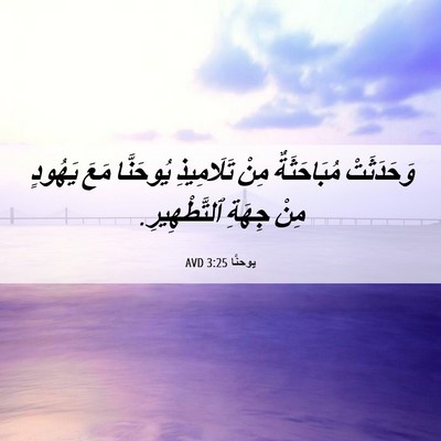 Picture 06 - يوحنَّا 3:25 AVD - وَحَدَثَتْ مُبَاحَثَةٌ - Bible Verse Picture