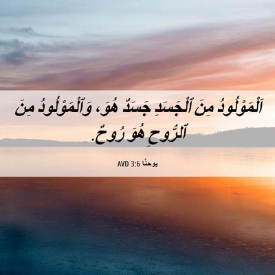 Picture 06 - يوحنَّا 3:6 AVD - اَلْمَوْلُودُ مِنَ - Bible Verse Picture