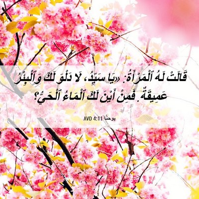 Picture 06 - يوحنَّا 4:11 AVD - قَالَتْ لَهُ ٱلْمَرْأَةُ: - Bible Verse Picture