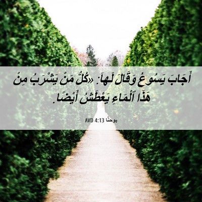 Picture 06 - يوحنَّا 4:13 AVD - أَجَابَ يَسُوعُ وَقَالَ - Bible Verse Picture