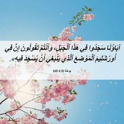Picture 06 - يوحنَّا 4:20 AVD - آبَاؤُنَا سَجَدُوا فِي - Bible Verse Picture