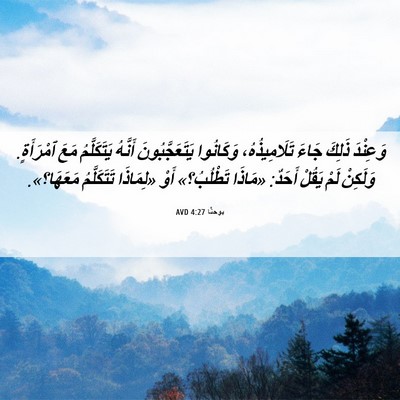 Picture 06 - يوحنَّا 4:27 AVD - وَعِنْدَ ذَلِكَ جَاءَ - Bible Verse Picture