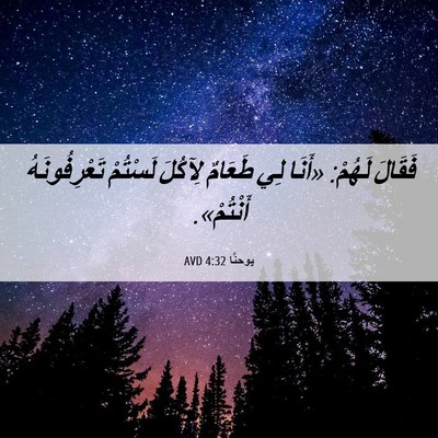 Picture 06 - يوحنَّا 4:32 AVD - فَقَالَ لَهُمْ: «أَنَا لِي - Bible Verse Picture