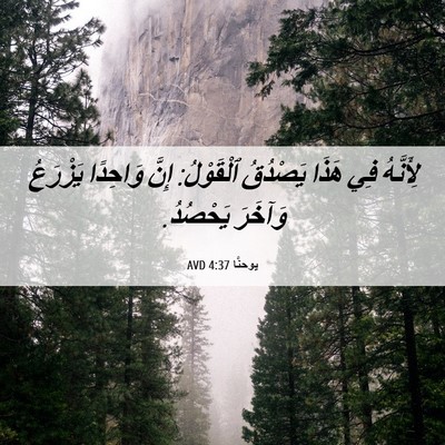 Picture 06 - يوحنَّا 4:37 AVD - لِأَنَّهُ فِي هَذَا - Bible Verse Picture