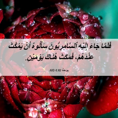 Picture 06 - يوحنَّا 4:40 AVD - فَلَمَّا جَاءَ إِلَيْهِ - Bible Verse Picture