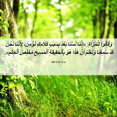 Picture 06 - يوحنَّا 4:42 AVD - وَقَالُوا لِلْمَرْأَةِ: - Bible Verse Picture