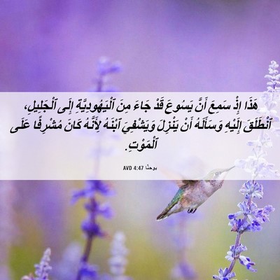 Picture 06 - يوحنَّا 4:47 AVD - هَذَا إِذْ سَمِعَ أَنَّ - Bible Verse Picture
