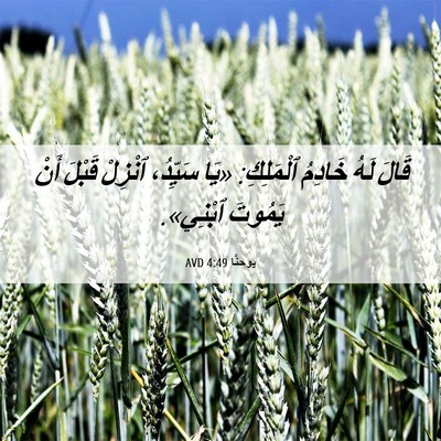 Picture 06 - يوحنَّا 4:49 AVD - قَالَ لَهُ خَادِمُ - Bible Verse Picture
