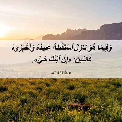Picture 06 - يوحنَّا 4:51 AVD - وَفِيمَا هُوَ نَازِلٌ - Bible Verse Picture