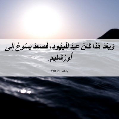 Picture 06 - يوحنَّا 5:1 AVD - وَبَعْدَ هَذَا كَانَ عِيدٌ - Bible Verse Picture