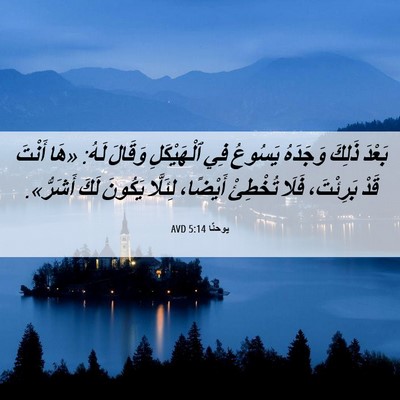 Picture 06 - يوحنَّا 5:14 AVD - بَعْدَ ذَلِكَ وَجَدَهُ - Bible Verse Picture