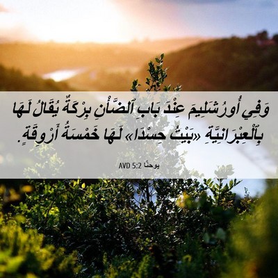 Picture 06 - يوحنَّا 5:2 AVD - وَفِي أُورُشَلِيمَ عِنْدَ - Bible Verse Picture