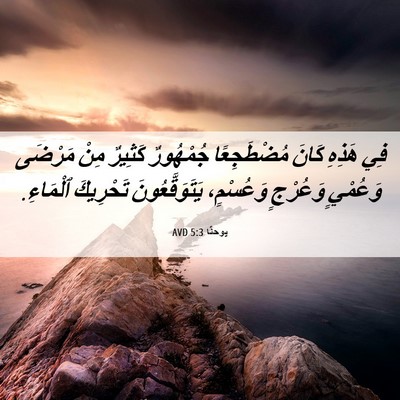 Picture 06 - يوحنَّا 5:3 AVD - فِي هَذِهِ كَانَ - Bible Verse Picture