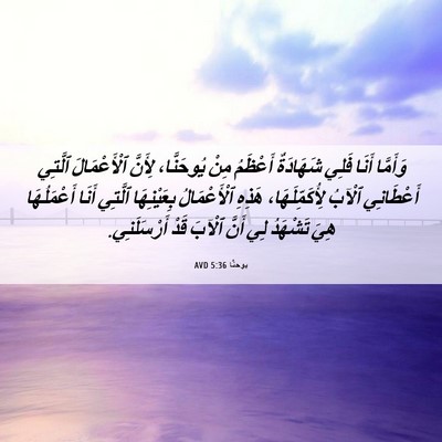 Picture 06 - يوحنَّا 5:36 AVD - وَأَمَّا أَنَا فَلِي - Bible Verse Picture