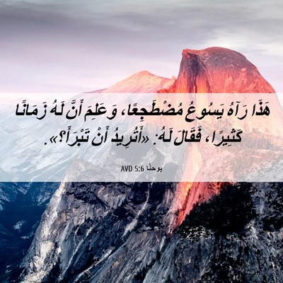 Picture 06 - يوحنَّا 5:6 AVD - هَذَا رَآهُ يَسُوعُ - Bible Verse Picture