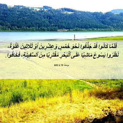 Picture 06 - يوحنَّا 6:19 AVD - فَلَمَّا كَانُوا قَدْ - Bible Verse Picture