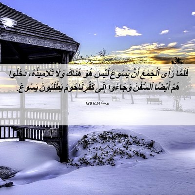 Picture 06 - يوحنَّا 6:24 AVD - فَلَمَّا رَأَى ٱلْجَمْعُ - Bible Verse Picture