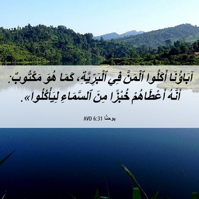 Picture 06 - يوحنَّا 6:31 AVD - آبَاؤُنَا أَكَلُوا - Bible Verse Picture