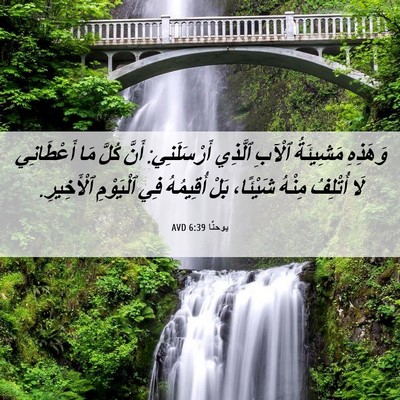 Picture 06 - يوحنَّا 6:39 AVD - وَهَذِهِ مَشِيئَةُ ٱلْآبِ - Bible Verse Picture