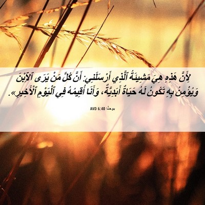 Picture 06 - يوحنَّا 6:40 AVD - لِأَنَّ هَذِهِ هِيَ - Bible Verse Picture