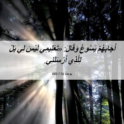 Picture 06 - يوحنَّا 7:16 AVD - أَجَابَهُمْ يَسُوعُ - Bible Verse Picture